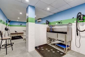 Pet wash